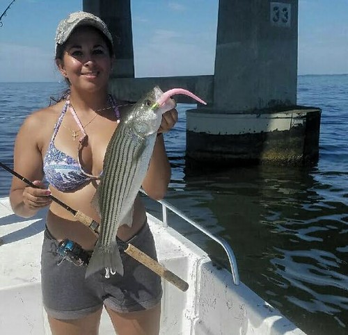 A windy fall has hampered fishing offshore, in the surf and business.