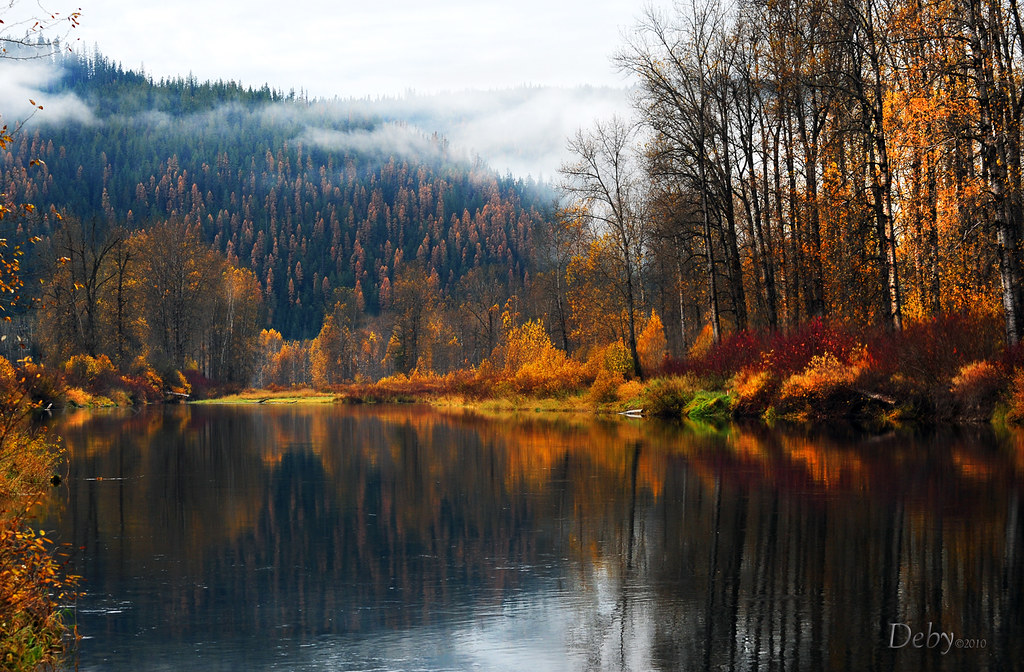 Fall on the Coeur d'Alene River | Explored A small slice of … | Flickr