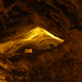 Lava Cave | Flickr - Photo Sharing!