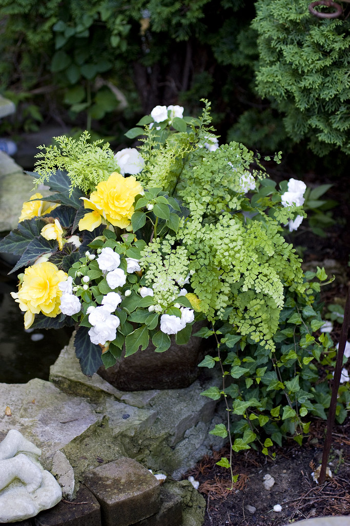 Heavenly Scent Herb Farm: Shade Container | www ...