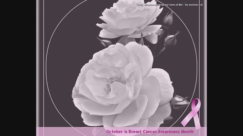 A Breast Cancer Awareness Garden (slideshow with music)