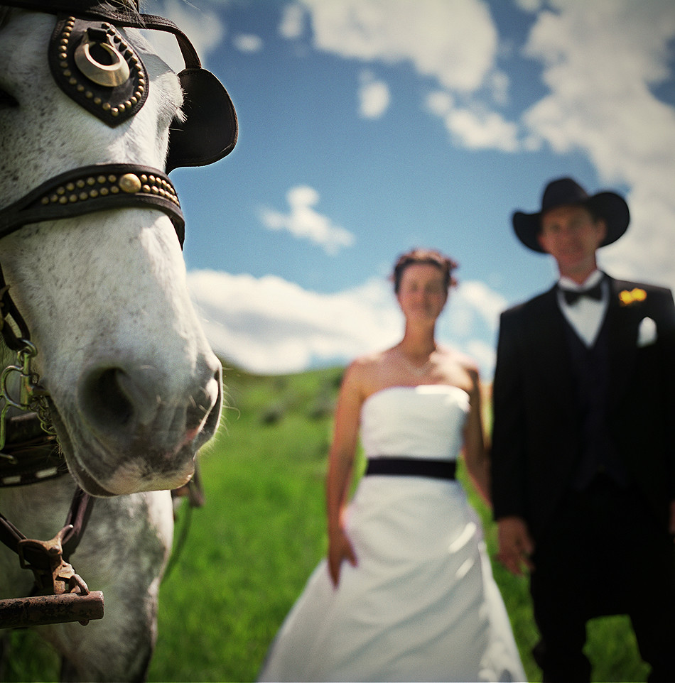 love and marriage (go together like a horse and carriage) | Flickr - Love And Marriage Go Together Like A Horse And Carriage