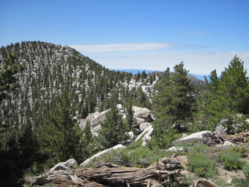 Jean Peak (10670 feet) on the left and the Jean Peak Saddle behind those trees on the right