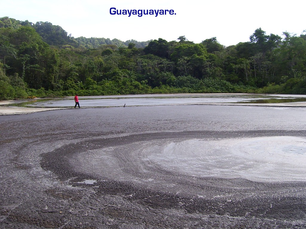 Resultado de imagem para Guayaguayare