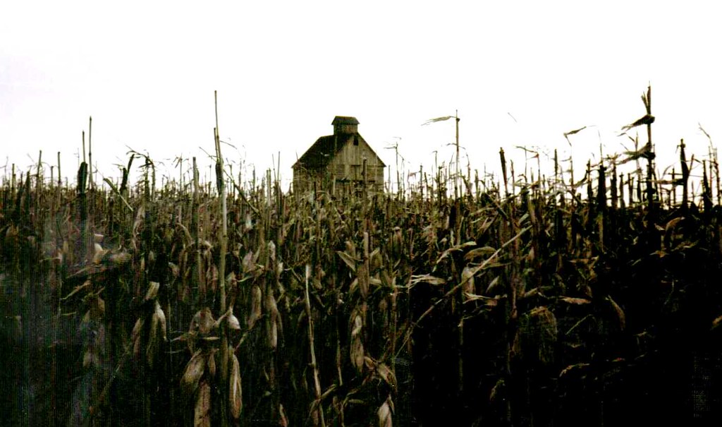 Creepy Cornfield and House | Not sure where this was taken e… | Flickr