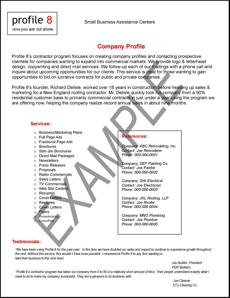 How To Write Business Profile Template
