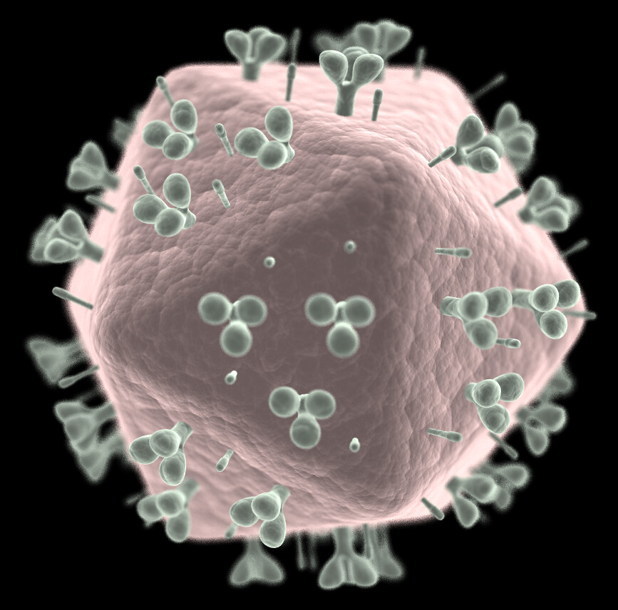 Вирус вич под микроскопом фото