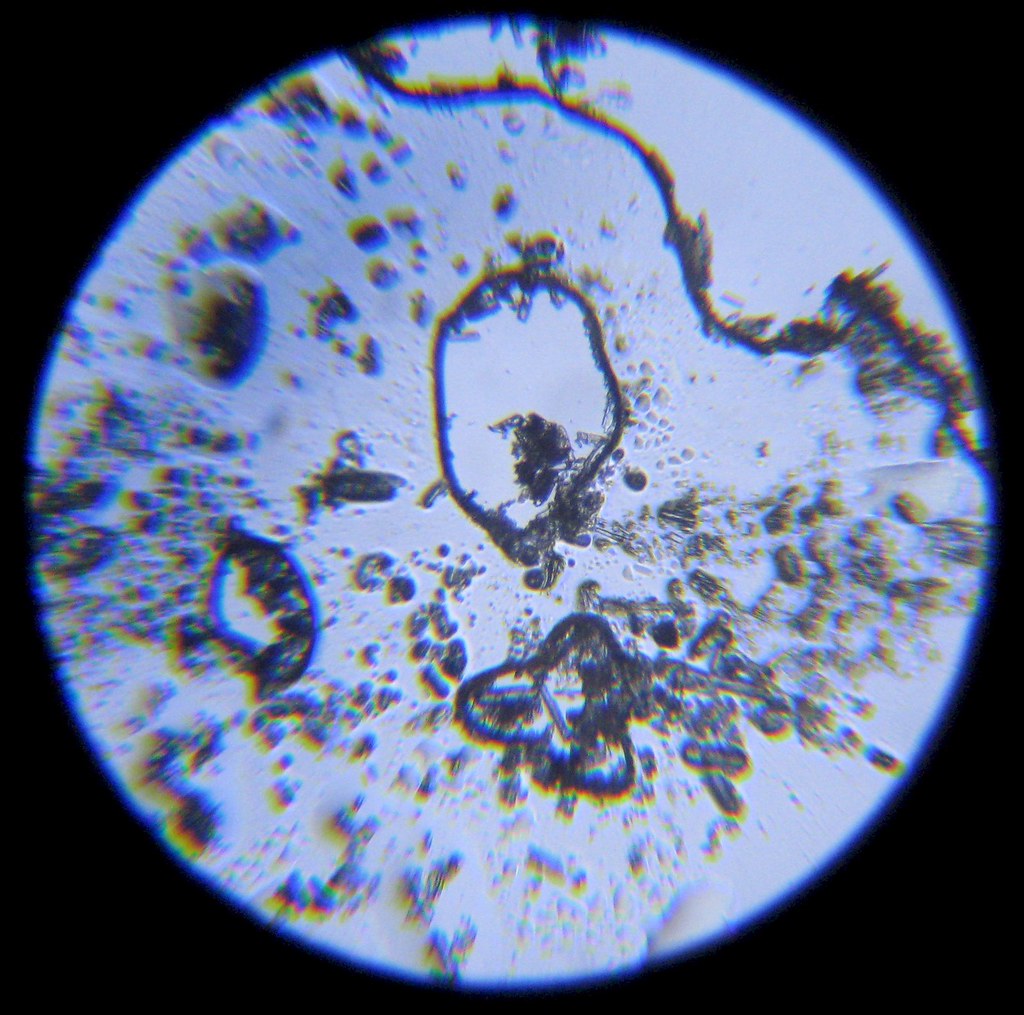 Молекула воды под микроскопом фото