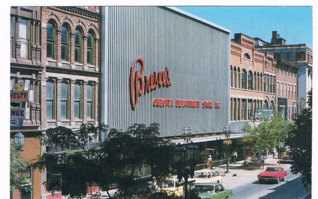 Postcard of Bresee's Department Store: Oneonta, New York ...