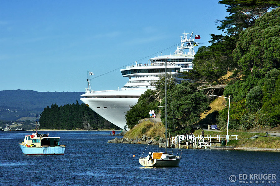 tauranga harbour cruise ships