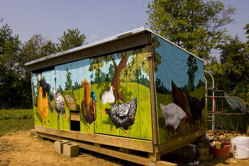 Mural (3/4 View) | Mural painted on the chicken coop at ...