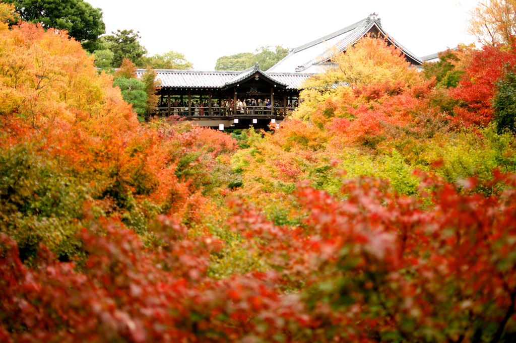 Du lịch Nhật Bản tự túc ở Eikando