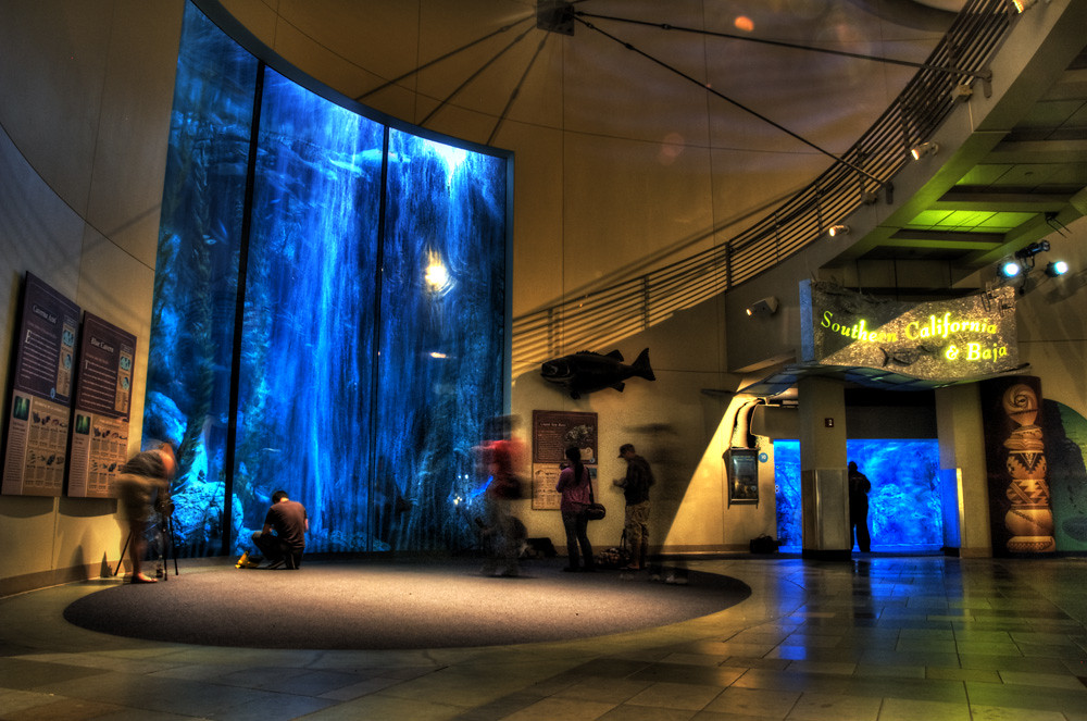 Image Result For Long Beach Aquarium Image Result For Long Beach Aquarium