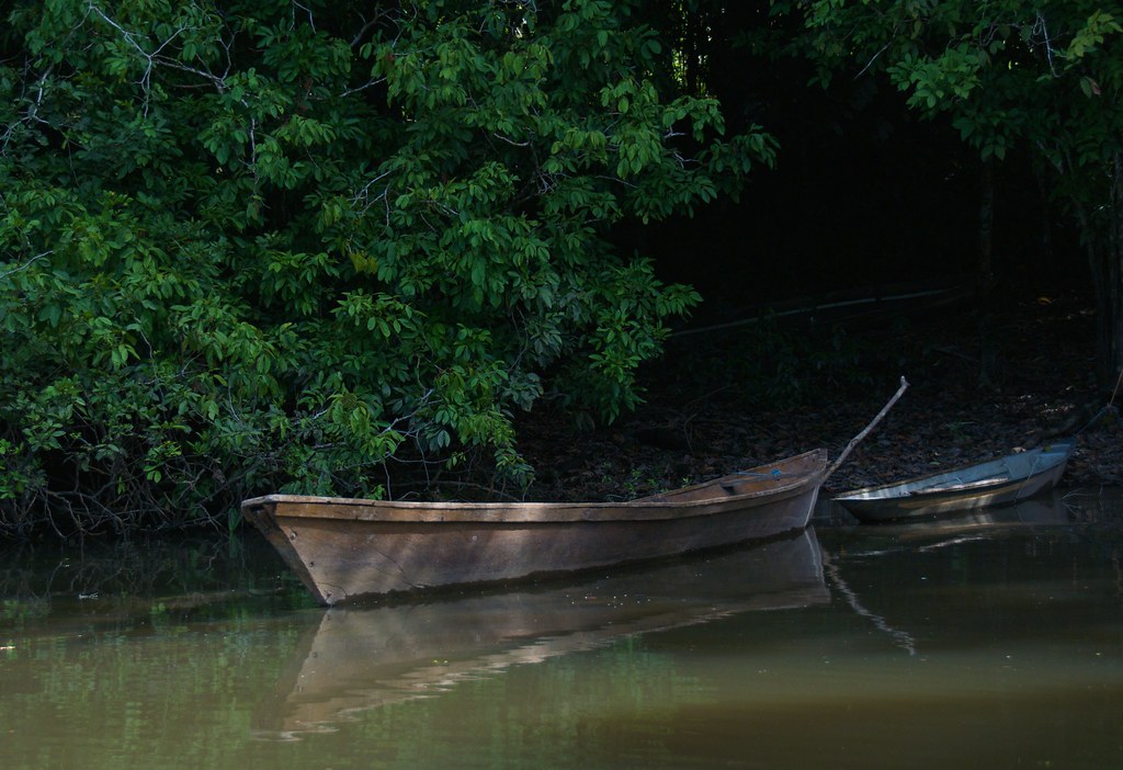 Canoes at Cuyabeno Lodge