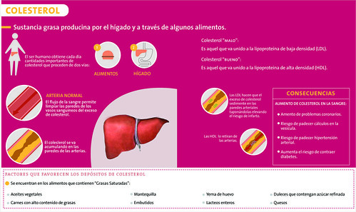 Colesterol | Infografías sección de Salud para Guía Mujer y … | Flickr