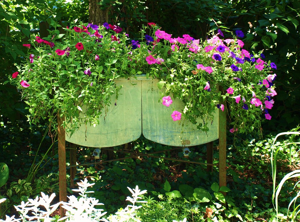 tub planter decor next to kitchen sink