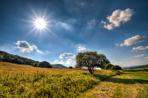 Summer Sun | Just a simple sunny HDR. Created from three sho… | Flickr
