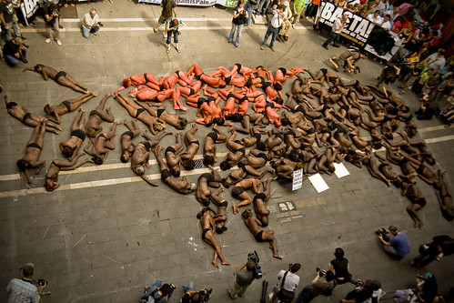 Bulls Die Bloody Deaths in Pamplona | PETA | Flickr