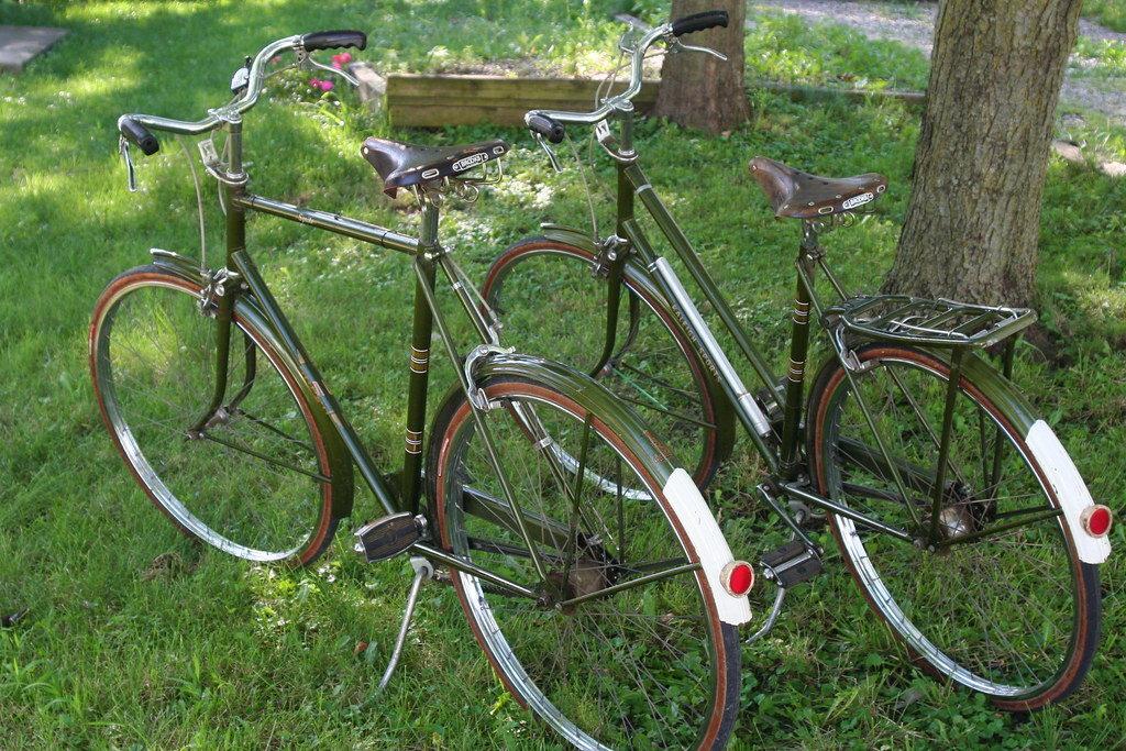 Vintage Raleigh Roadsters | Just found these matching "His ...