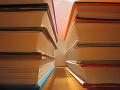 photo of two stacks of books