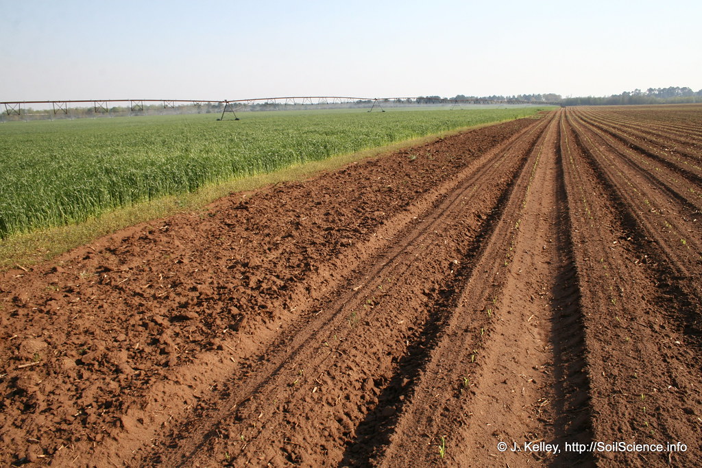 An agricultural landscape typical of the North Carolina co… Flickr