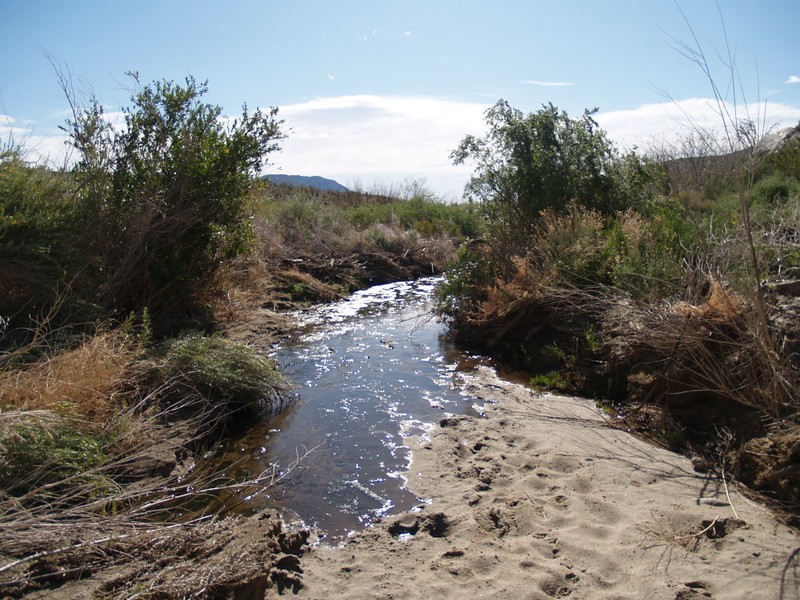 The Lower Willows Trail follows, and sometimes joins, Coyote Creek