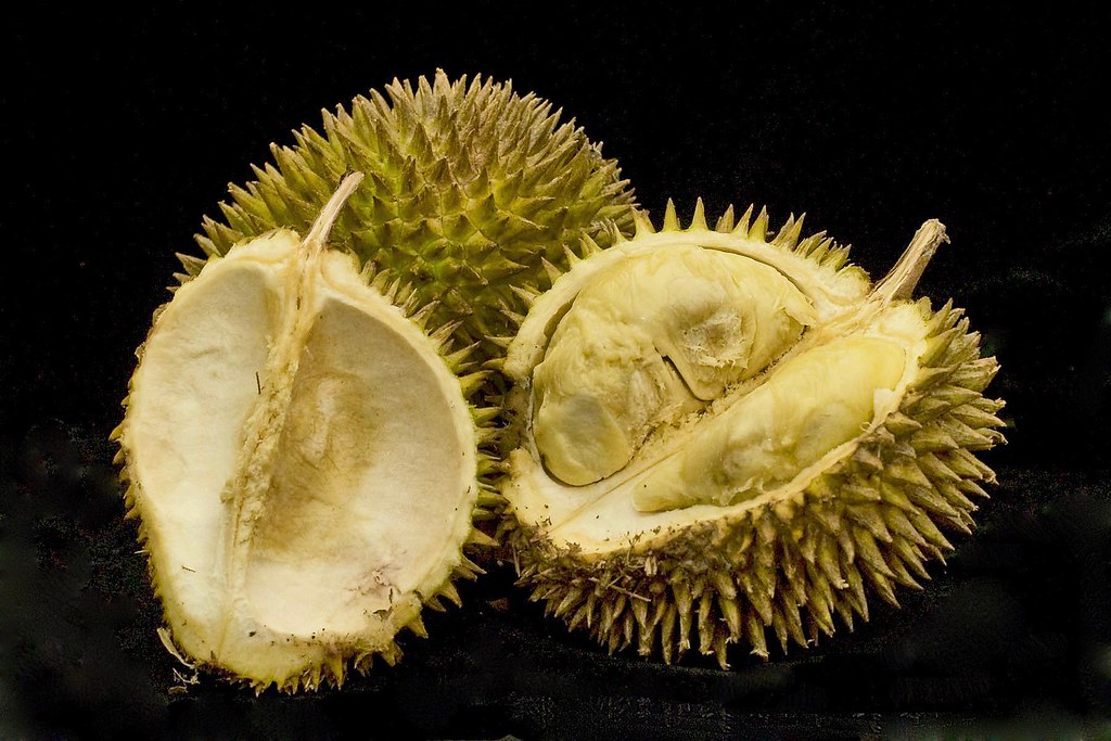 Read Worlds; Azima & the Durian 5 by Sikundar S