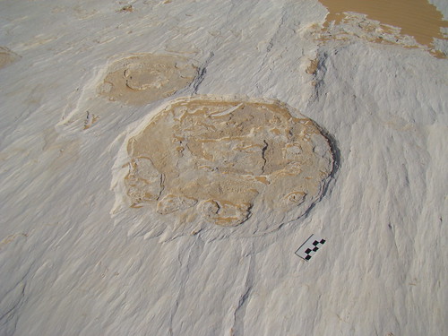 Acanaladuras eólicas - White Desert (Egipto) - 02