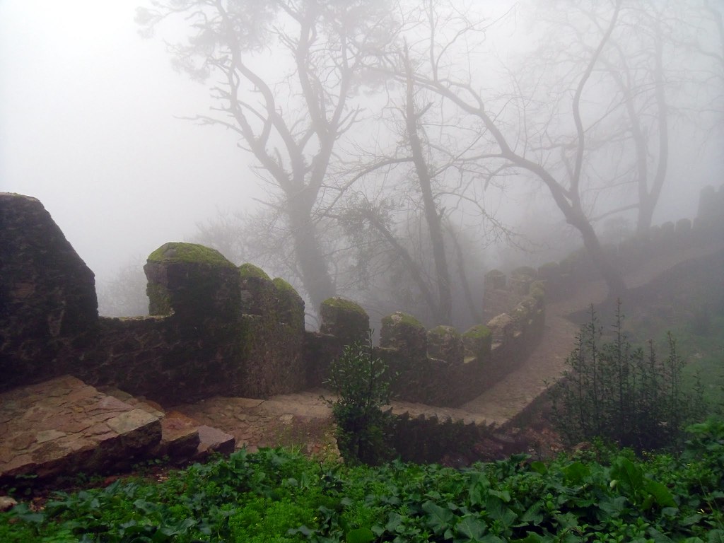 Hillside trail, Sintra 