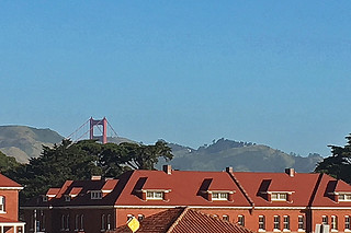 Presidio Trail Run - Golden Gate Bridge