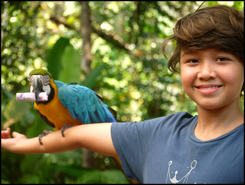 Boy and Parrot