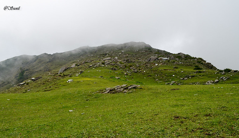 DSC_0265 (2)
