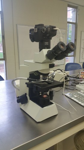 A microscope with camera attachment. 