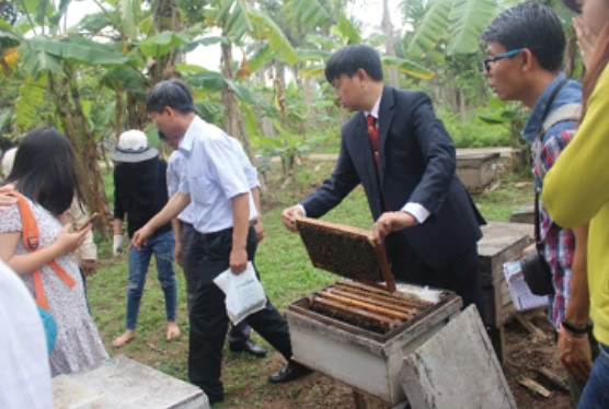 Beekeeping Training (Hanoi, Vietnam)