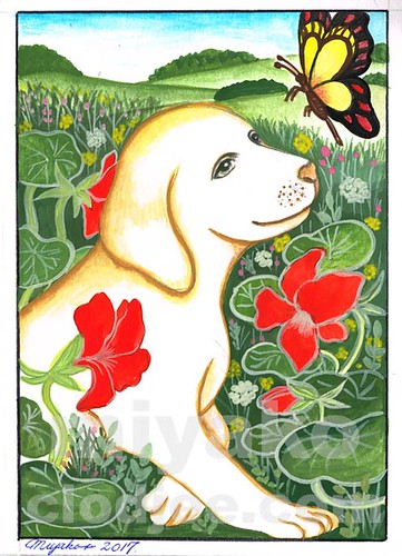 Labrador with butterfly and capucines