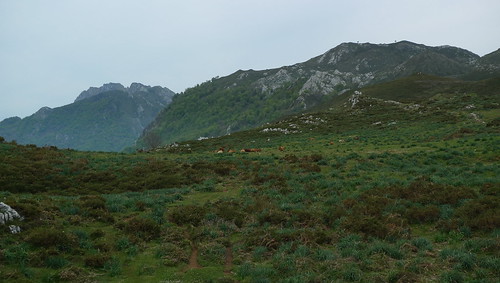 Ruta de Caoru - Picos de Europe - near Las Arenas, Spain
