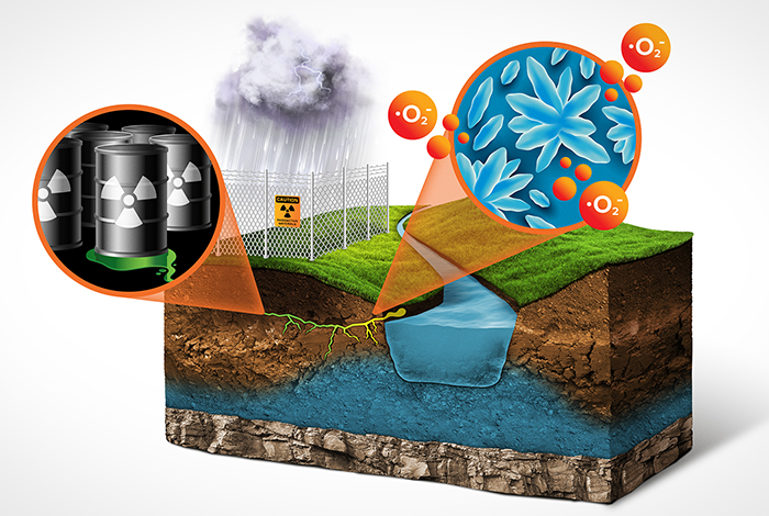 Microbes mitigate the flow of radioactive contaminants