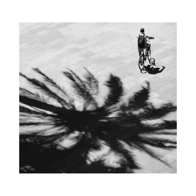 ell, la bici i la ombra de la palmera