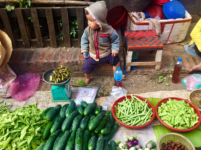 LAOS, EN BUSCA DEL VALLE ENCANTADO. - Blogs de Laos - LUANG PRABANG (4)