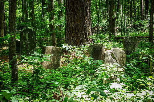 Old Stone Cemetery at Landsford Canal-051