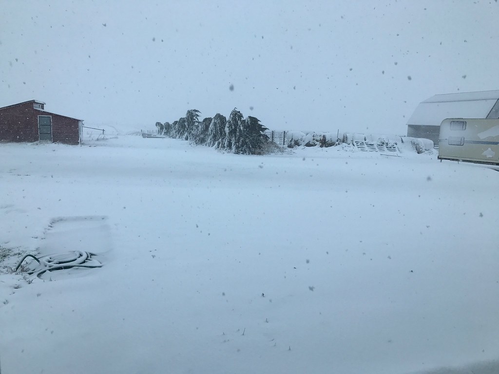 HPH-2017 Blizzard (Photo Contributed by Pieter)