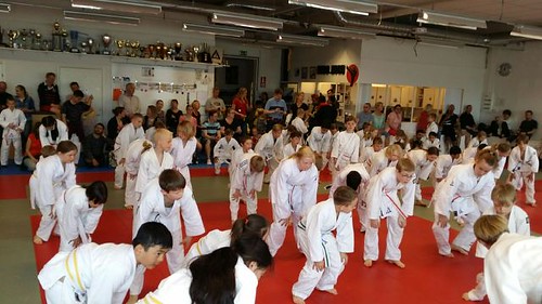 KM 2 judoparty