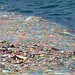 inquinamento dei mari della plastica