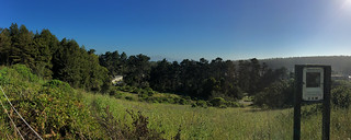 Presidio Trail Run - Inspiration Point view