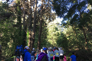 Presidio Trail Run - 1.5 mile runners start