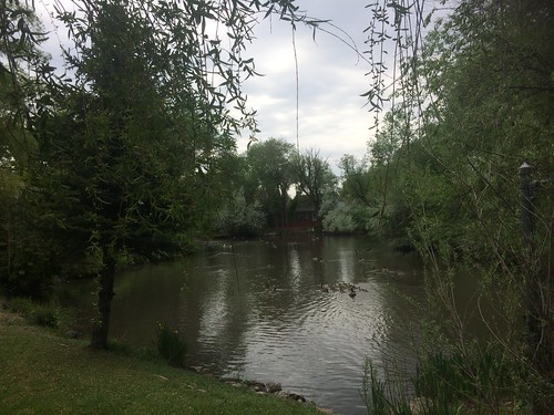 Millcreek Pond