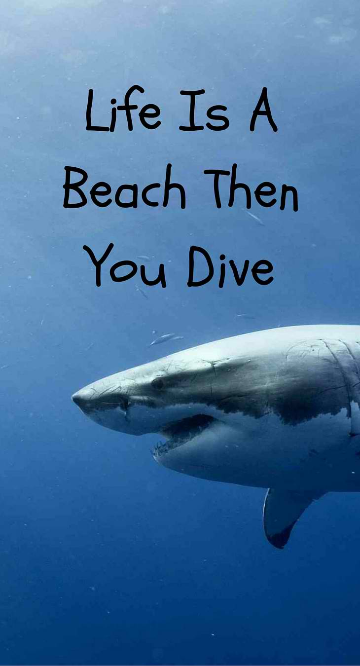 Our Favorite Ocean Quotes and Sayings - Art of Scuba Diving