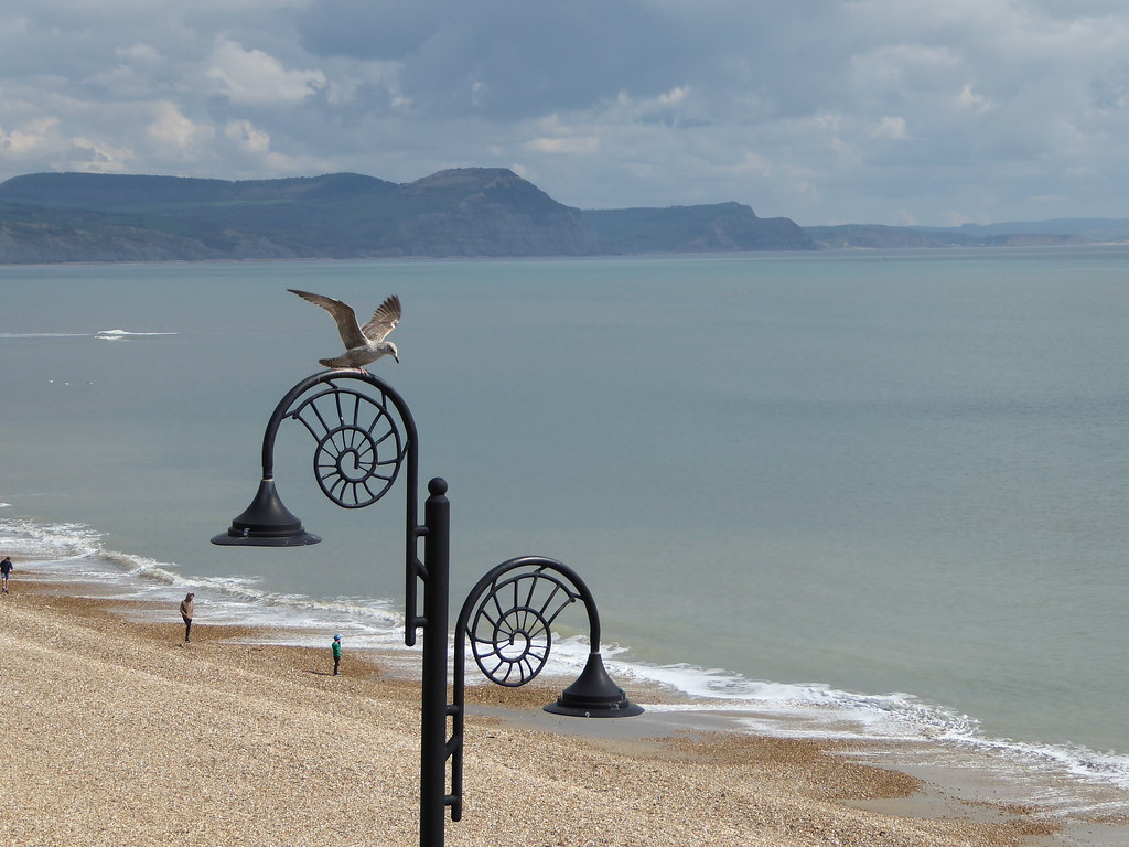 Lyme Regis ammonite lamppost and seagull