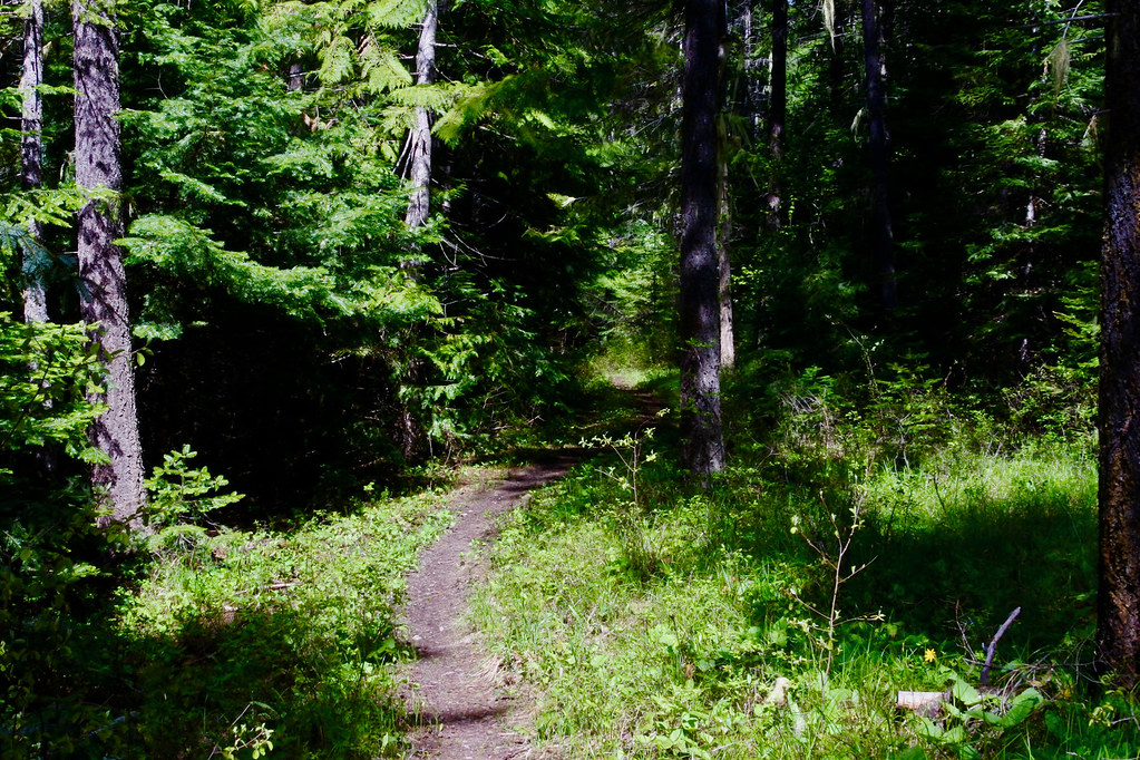 Spring Creek Trail