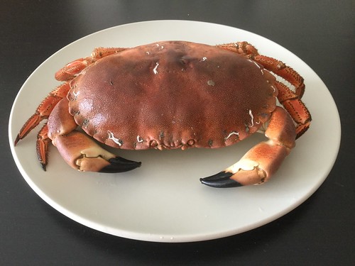 A Cooked Brown Crab from Sofrimar in Ireland